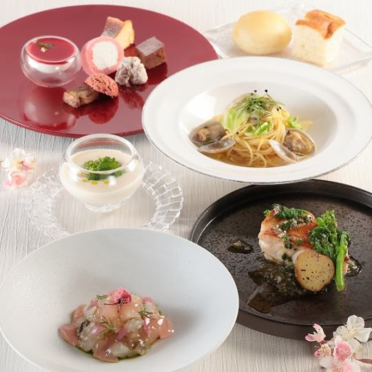 <2026/3/20~4/17>【桜ランチ】