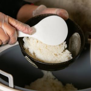 ライス大