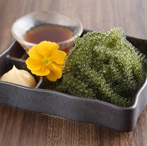 【一品料理】沖縄直送本場の海ぶどう※数量限定