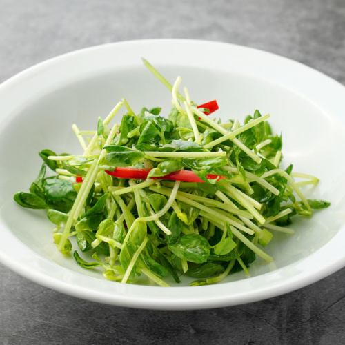 Stir-fried bean seedlings with garlic