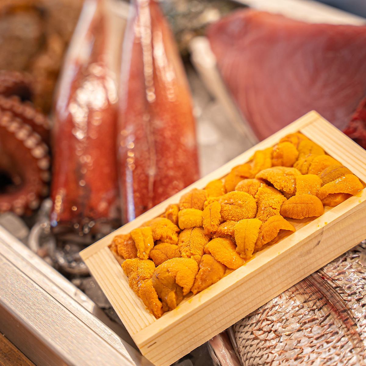 Enjoy fresh seafood with exquisite Italian food and wine♪