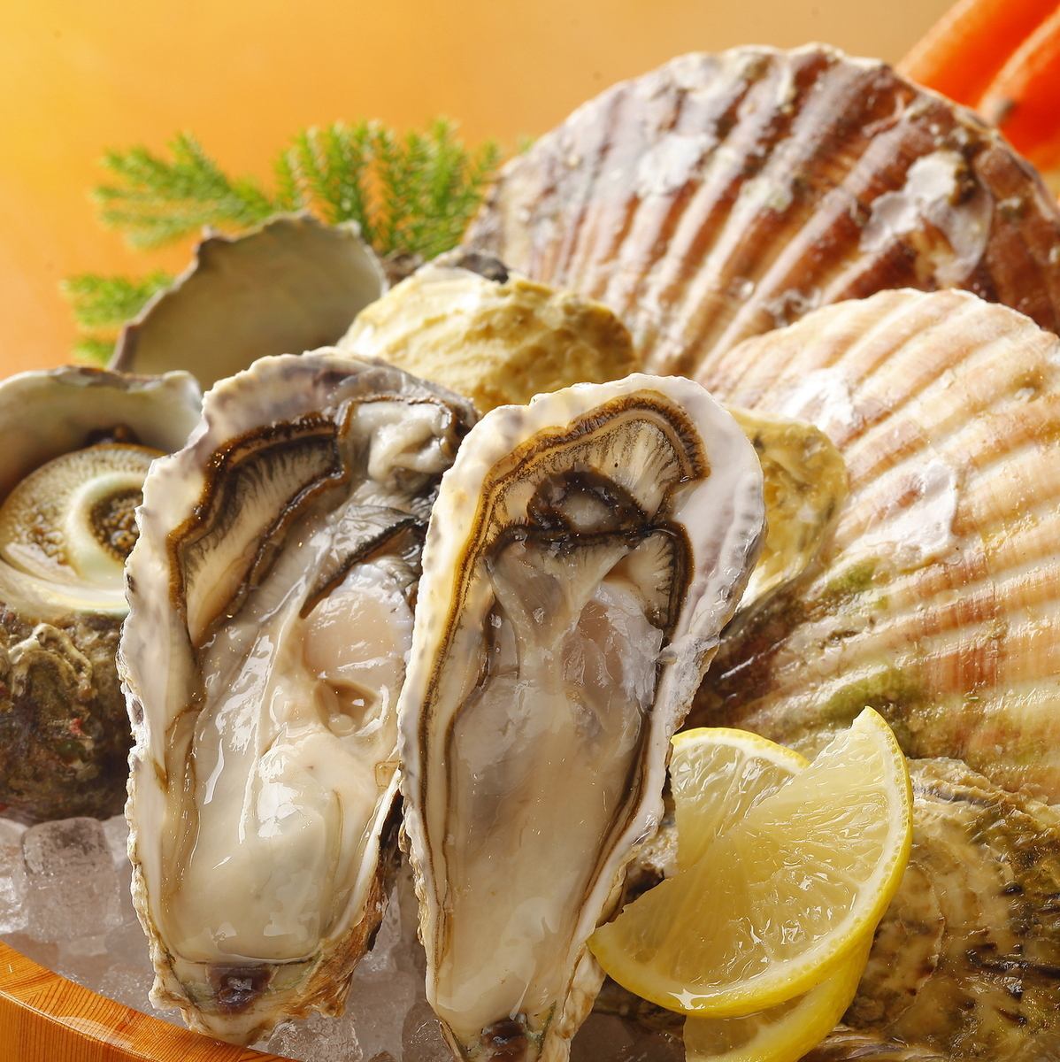Our proud fish is delivered directly from the nearby fishing port every morning, ensuring it is delivered while it is still fresh!