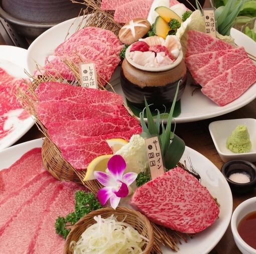 꿈 엄선 코스 6500 엔! 대인기의 사로인 볶은 초밥에서 시작하는 지극한 코스!