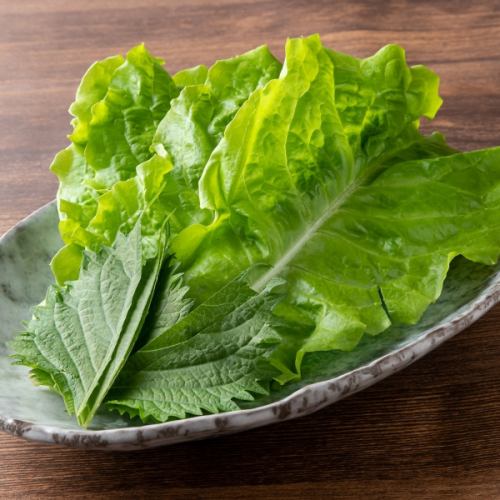 Lettuce (5/10 pieces)