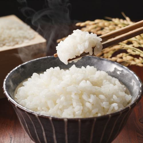 Rice (small)