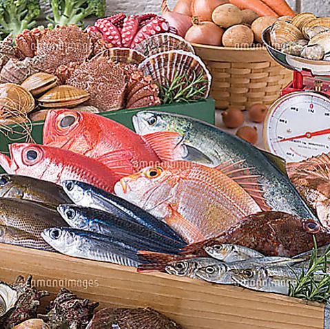 鮮度抜群の海鮮をご用意