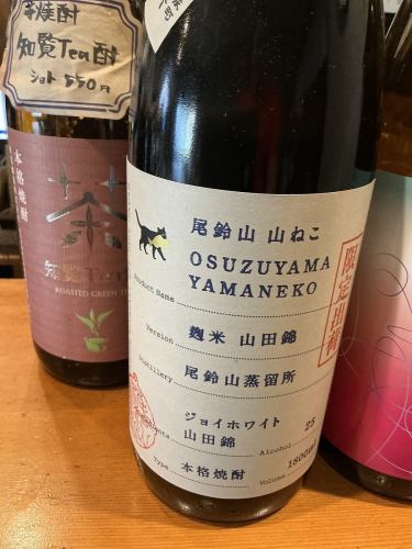 Wildcat Limited Edition