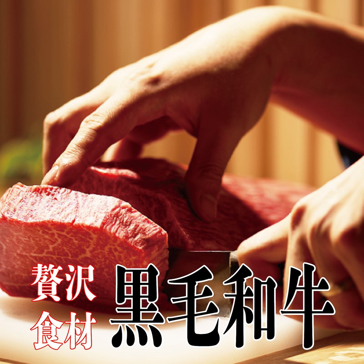 厳選上質焼肉・豊富な一品料理が食べ飲み放題コースで愉しめます