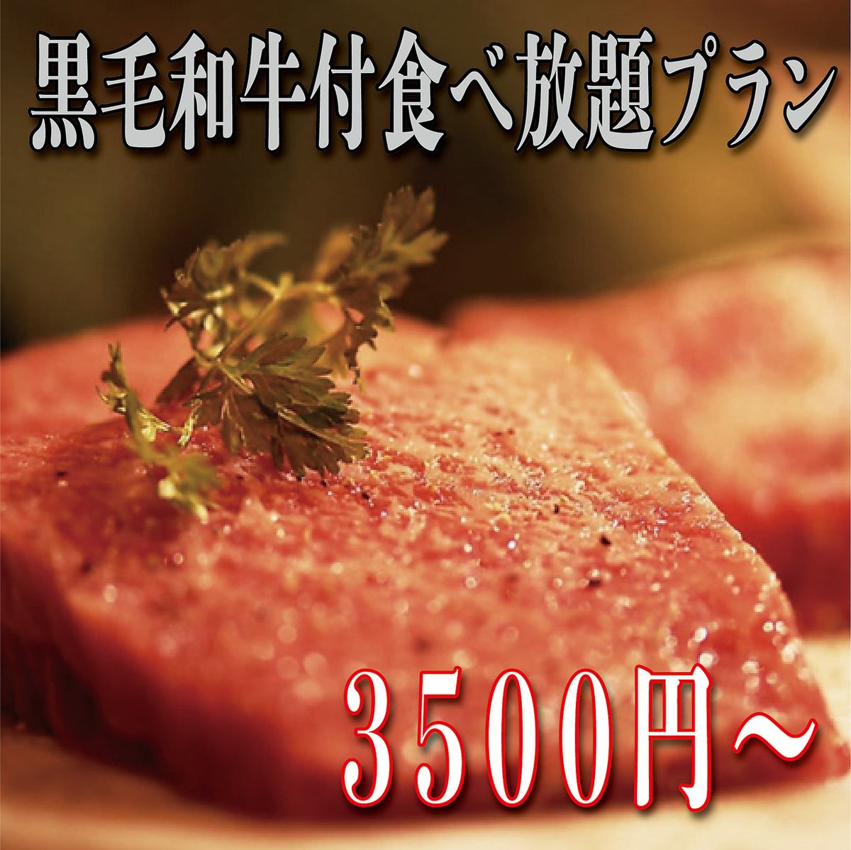 上質な本格焼肉&豊富な一品料理が食べ飲み放題！完全個室完備◎