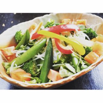 Homemade dressing salad with 15 kinds of vegetables