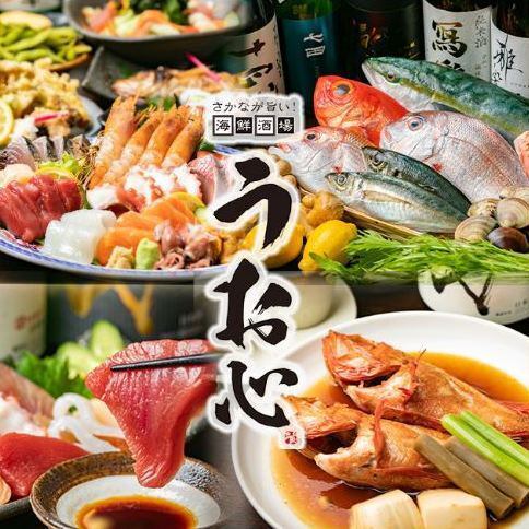 飲み放題付き5000円のコースメニューを御用意！