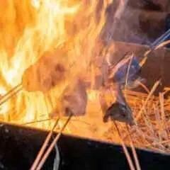 鰹のわら焼き