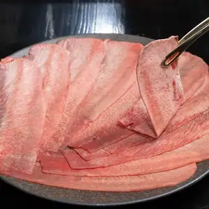 超薄舌片