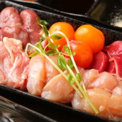 六種コーチン親鶏セット 一人前