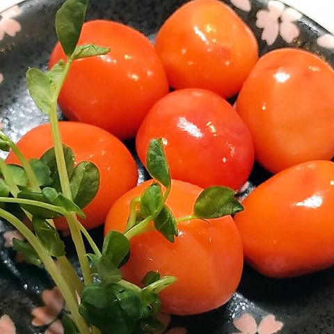 親もも／親むね／親ささみ／親ずり／親心臓／きんかん／親かわ／親テール／親せせり　各一人前