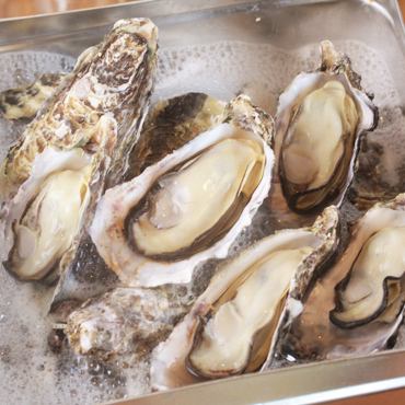 1日4食限定のかんかん蒸し