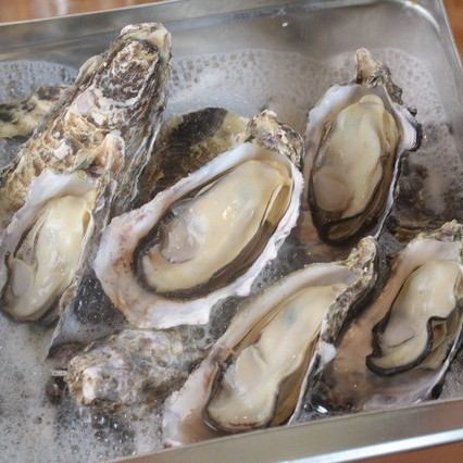 1日4食限定！！名物 牡蠣のかんかん蒸し 10個入
