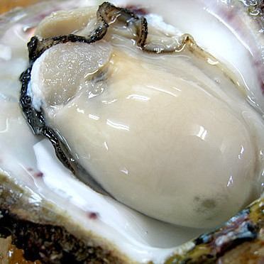 産地直送の≪生牡蠣≫