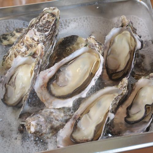新宿牡蠣入レ時人気の鍋！2時間飲み放題付き「牡蠣・蛤のかんかん蒸しと明太子鍋コース！」