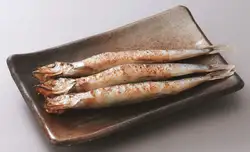 孩子們的狗屎