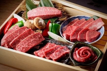 5周年記念特別コース