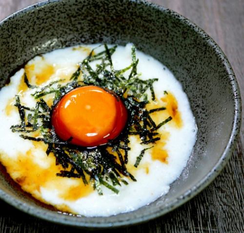 창작 토로로 TKG