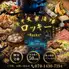 【個室完備×喫煙可】ネオ大衆酒場 ロッキー -Rocky- 掛川店