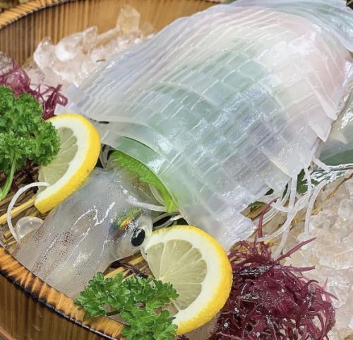 Live squid sashimi