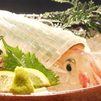 活鱿鱼在鱼缸里游来游去。请享受甜味和口感。