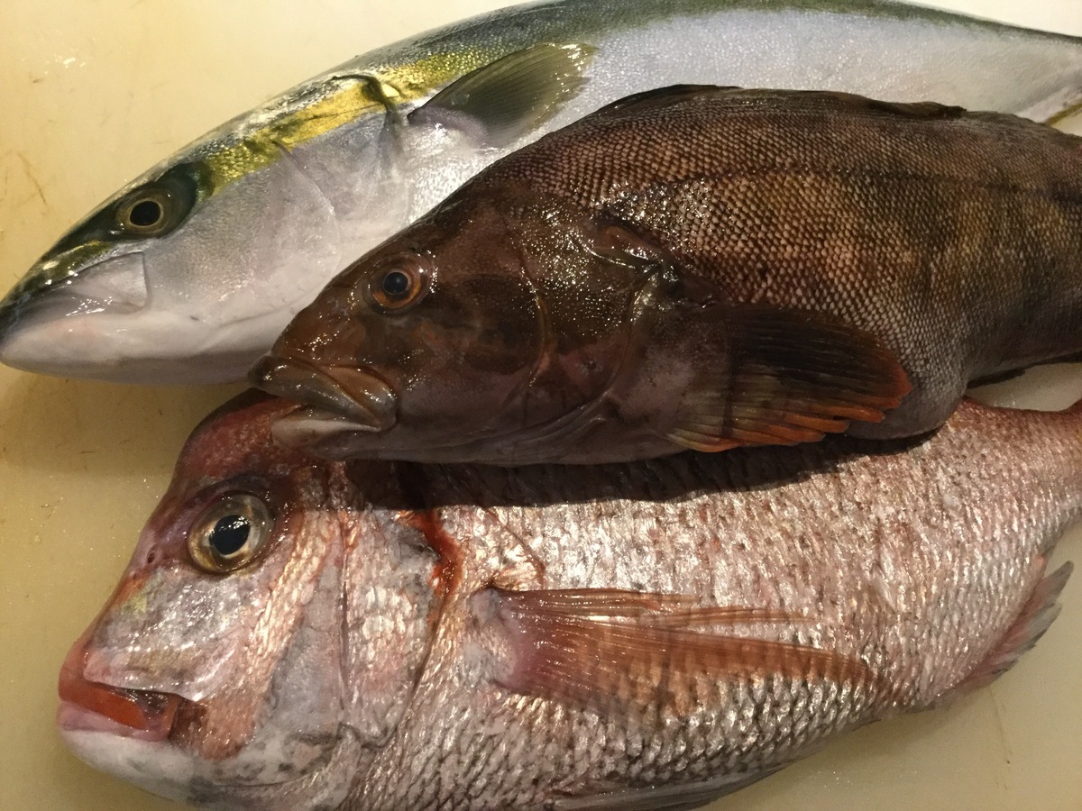 今日お魚chan とぽかぽかな話 居酒屋 おにやんま