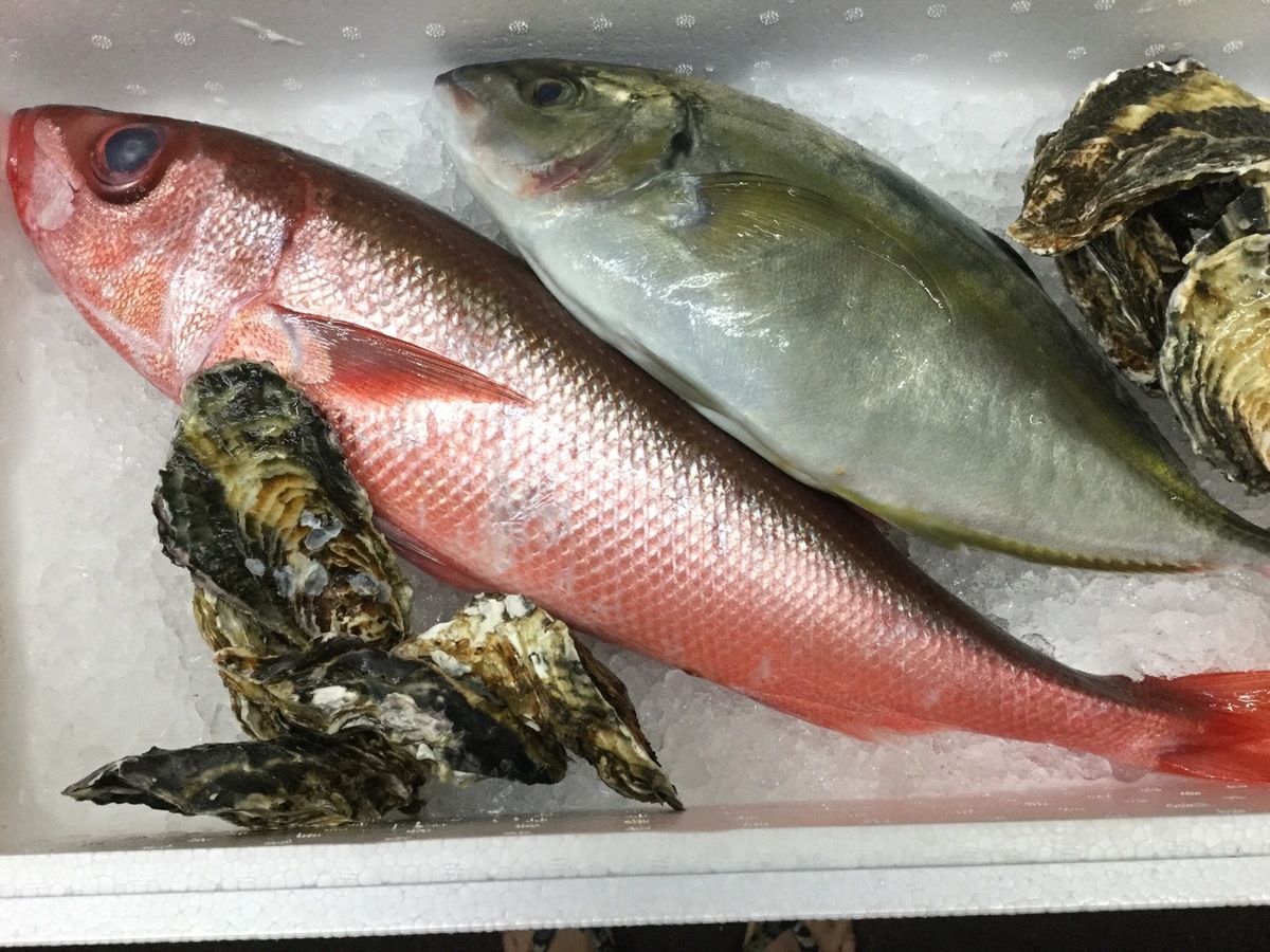 ご無沙汰してます 今日のお魚さんです 居酒屋 おにやんま