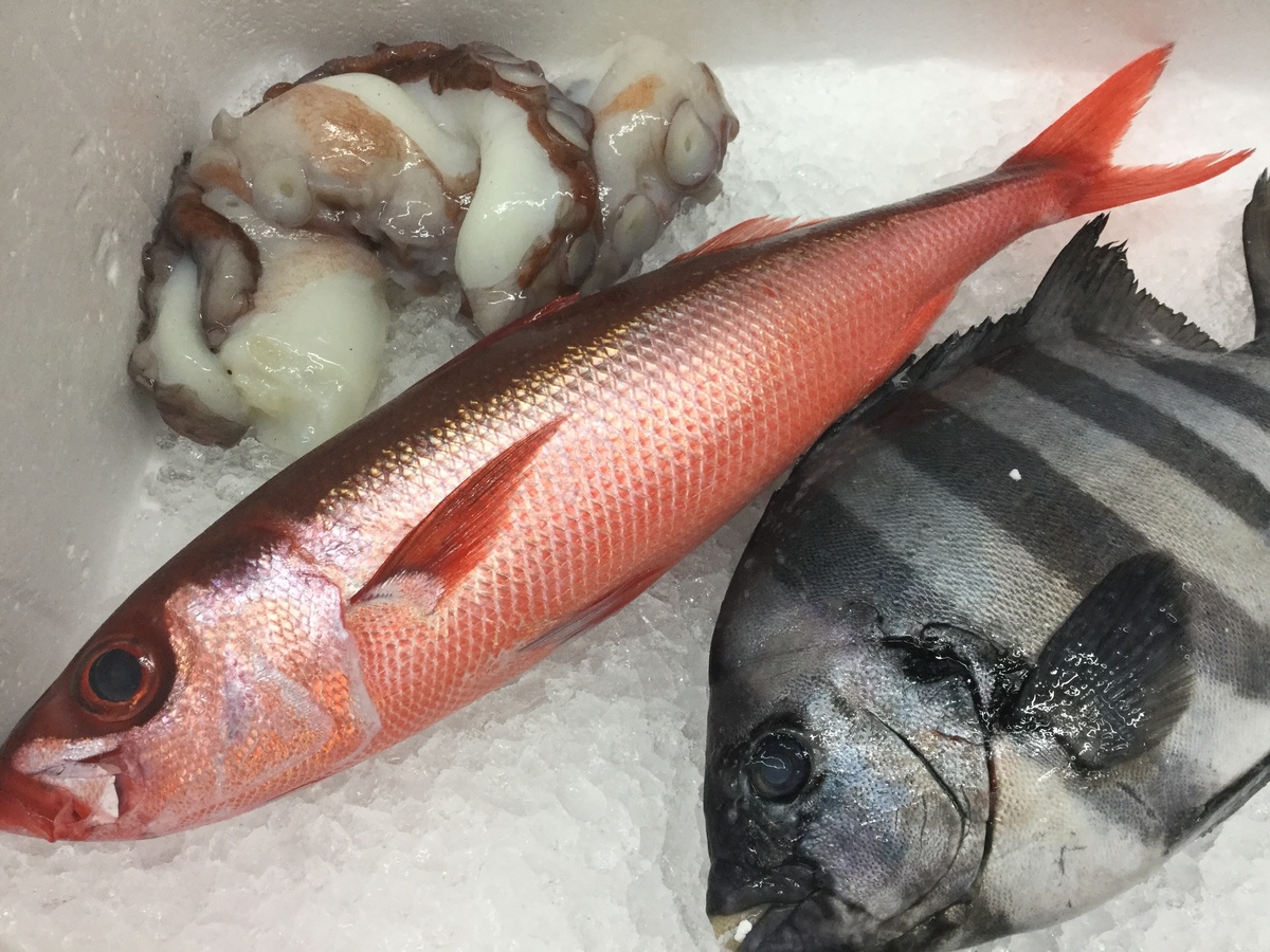 今日のお魚さん入りました 居酒屋 おにやんま