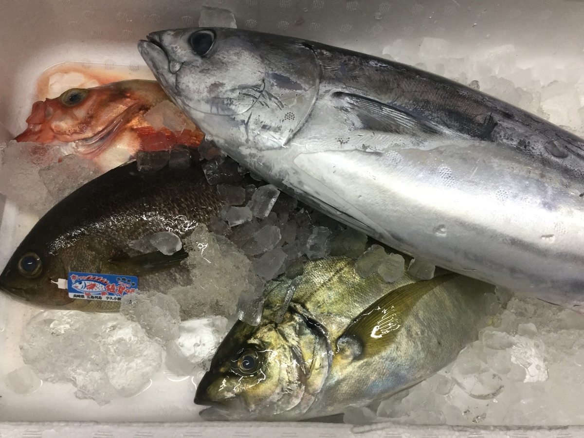 お魚入荷しましたので 居酒屋 おにやんま