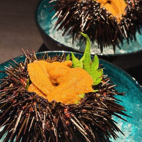 Hello(╹◡╹)
It's Oniyanma (╹◡╹)

Purple sea urchin has begun.
This year the harvest is better than usual.
It has a mild sea smell and is easy to eat.

I think it will be available until around Obon (╹◡╹)

We look forward to your visit!

See you~🤘

#Nagano City #Nagano City Oniyama #Nagano City Hideaway #Nagano City Seafood #Nagano City Sake #Nagano City Izakaya #Purple Sea Urchin #Iga Sea Urchin #Still Alive