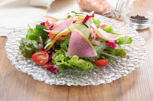 Vegetarian Salad with Plenty of Vegetables (S)