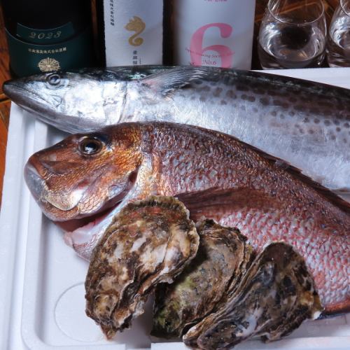 新鮮な鮮魚を贅沢に味わう