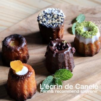 [Takeout] Great as a gift ◎ Canelé Jewelry Box 5 pieces ★ We recommend using points