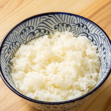 白ごはん