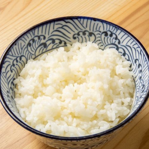白ごはん