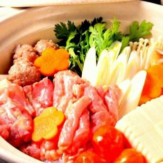 Pure Nagoya Cochin Nabe (for 2 people)