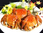 上海蟹 9/19（土）より