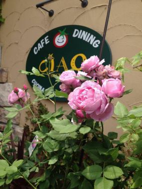 當美麗的玫瑰盛開時，建築物周圍的花園在五月盛開。在初夏清新的微風中搖曳著許多種玫瑰，真是令人難忘。這裡也有櫻花和繡球花，所以您一年四季都可以享受它。