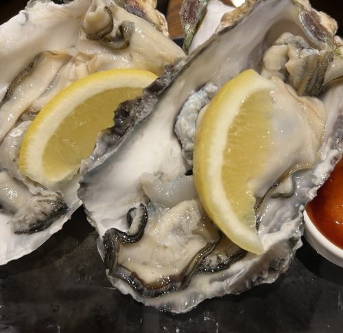 本日の生牡蠣