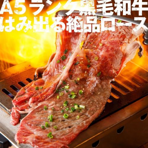 [Night market popular gem!] A5 rank specially selected Japanese black beef thick sliced curtain loin!