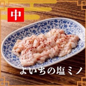 Yoichi's Salt Mino (Medium)