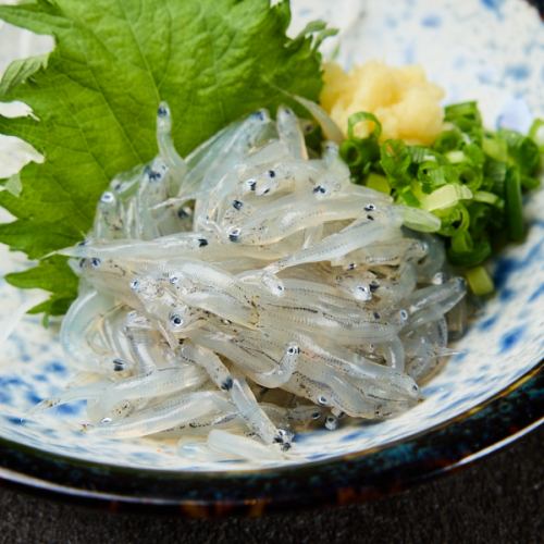 生しらす
