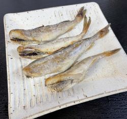 隔夜风干小舞鲑鱼