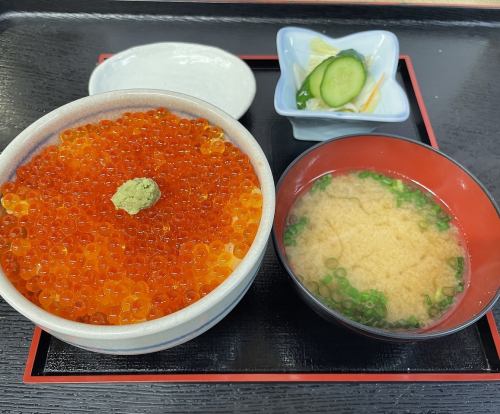 鲑鱼子盖饭（普通）