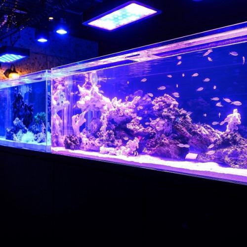 【アクアリウム】幻想的な水の流れが演出する特別空間。