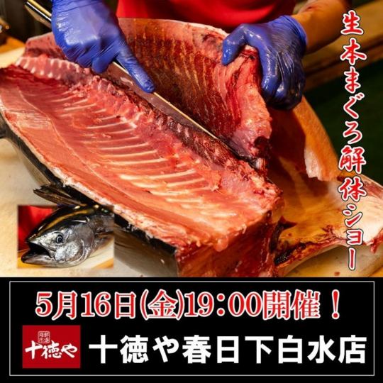 迫力満点！5/16(金)19:00～スタート・まぐろ解体ショー！